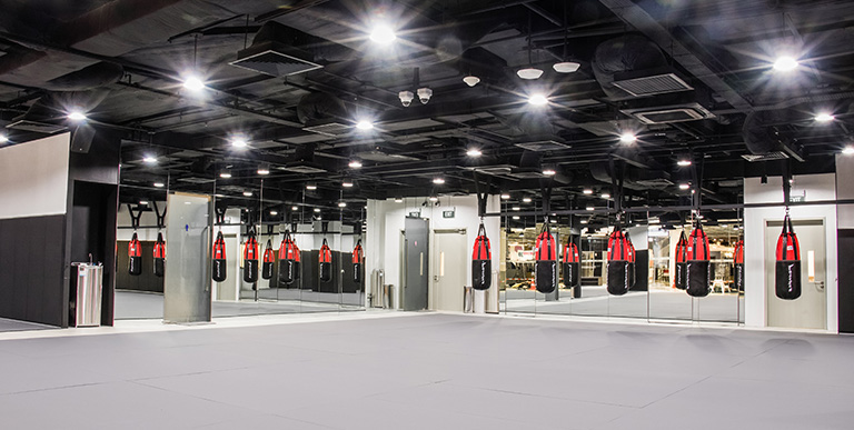 Evolve MMA (KINEX)